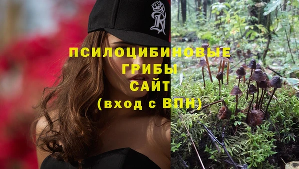 соль ск Зеленокумск