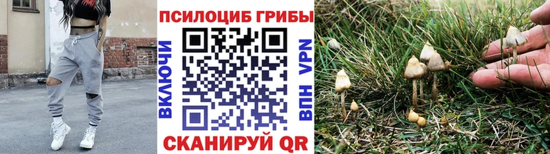 Галлюциногенные грибы Magic Shrooms  Купить  Гай 